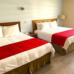 Suite con 1 camera da letto con letto king size